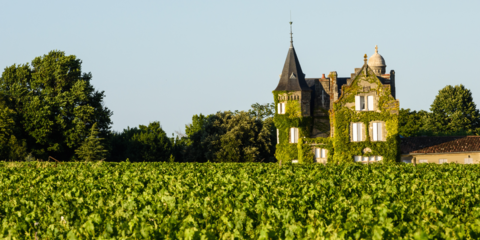 Croisière au cœur de Bordeaux et sa région